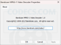 Download Bandicam MPEG-1 Decoder screenshot