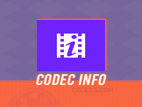 Codec Info screenshot