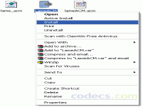 LAME ACM MP3 Codec screenshot