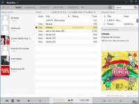 MusicBee 3.5.8698 screenshots