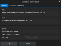 Ninja Download Manager screenshot