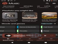 RiMusic screenshot