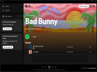 Spotify screenshot