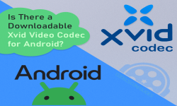 Screenshot of is-there-a-downloadable-xvid-video-codec-for-android.htm