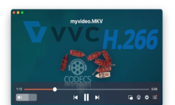 Screenshot of elmedia_player_adds_h_266_vvc_codec_support.htm